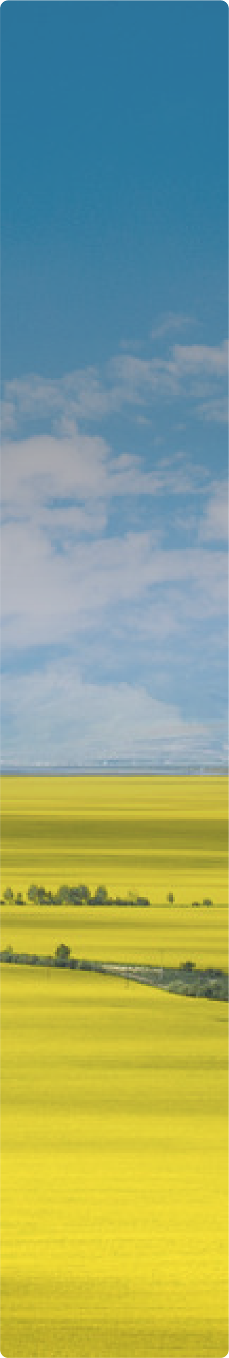 戰(zhàn)略新興產業(yè)